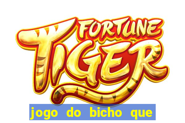 jogo do bicho que paga no pix